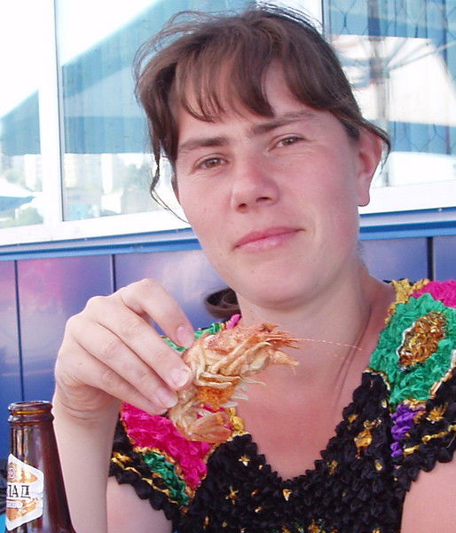 Елена Волкова