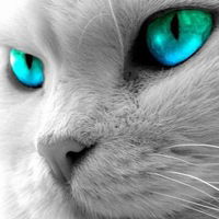 Аминат Хизирова