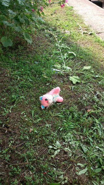 Илья Баженов