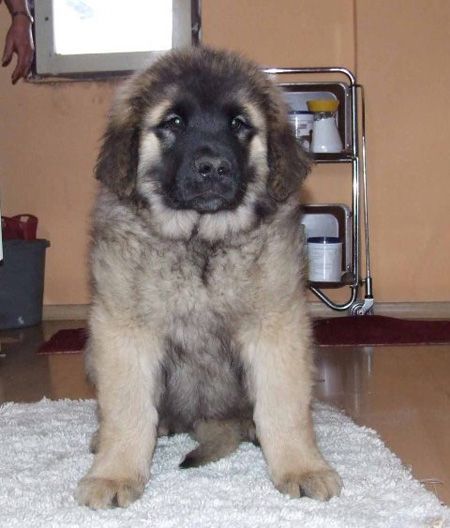 Пришёл И Не