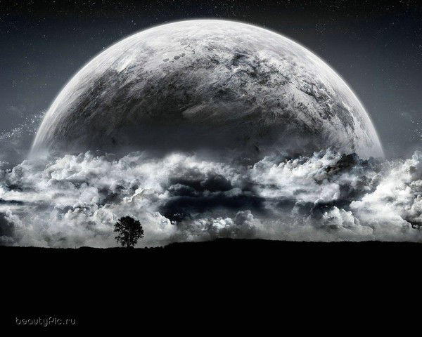 Сергей Дасько