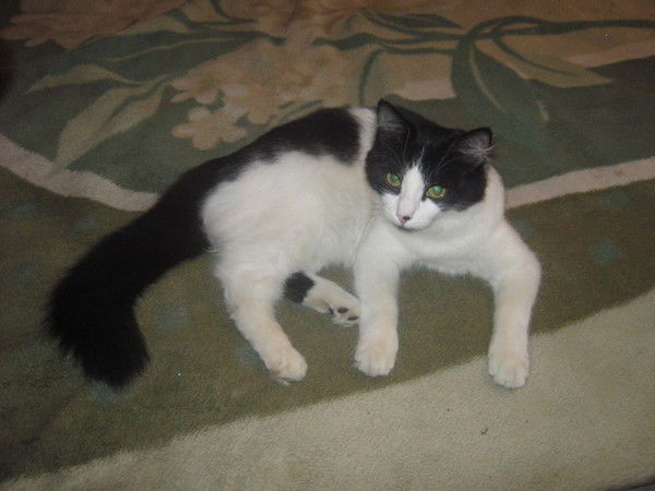 Екатерина Швецова