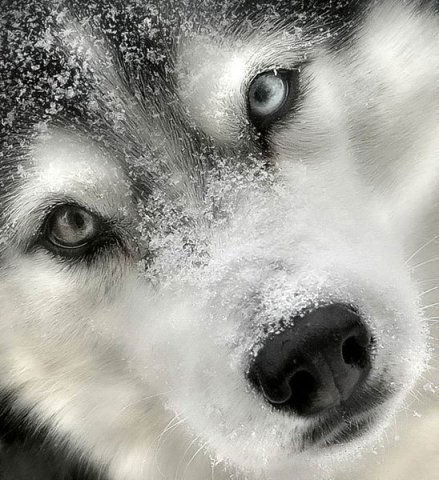 Вика Пирожкова