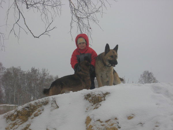 Елена Гарновская