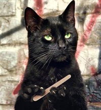 Екатерина Козинец