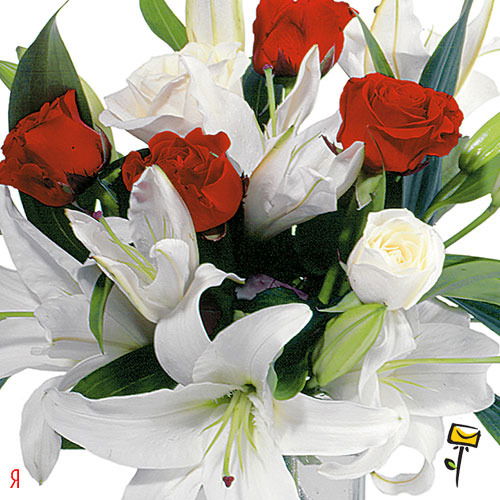 Елена Елфимова