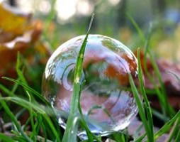 Венера Ашикбаева