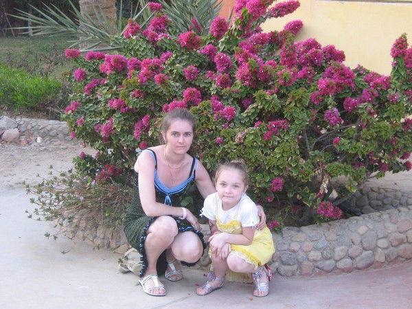 Елена Новикова (Косихина)