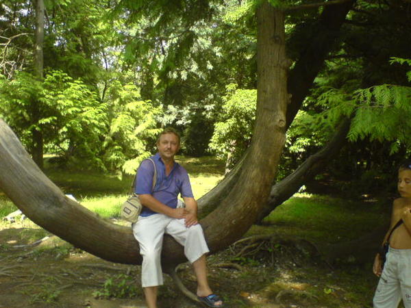 Александр Ульянов