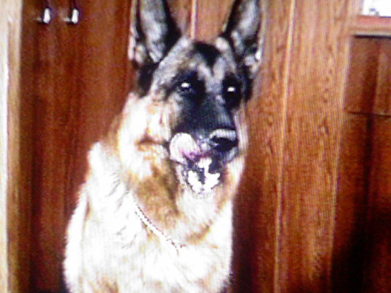 Виктор Уваров