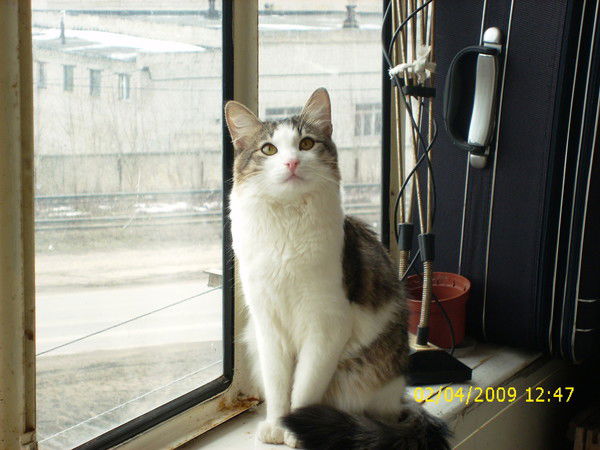 Андрей Попов