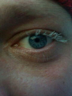 Дмитрий Лосенков