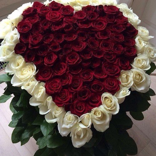 Татьяна Беляева