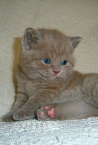 Настя Пешкова