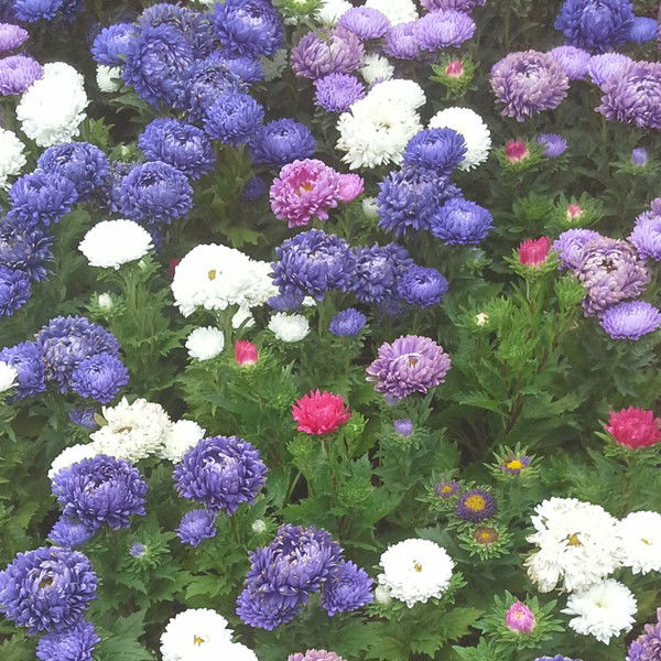 Татьяна *******