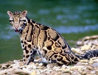 Александр Пушкин