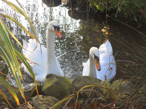 Ольга Майнингер
