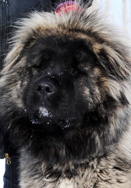 Иванова Татьяна