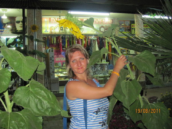 Елена Степанова