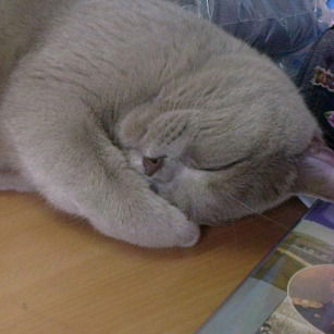 Екатерина Садова