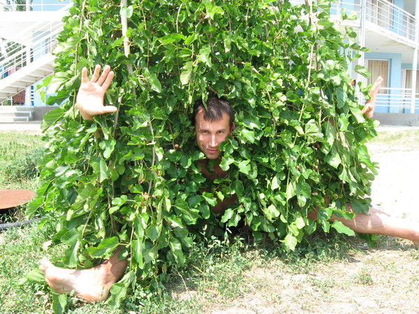 Александр Булавенко