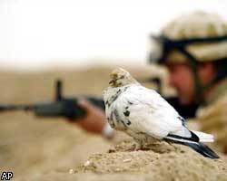 Александр Толстик