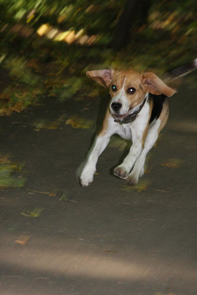 Маша Аксёнова