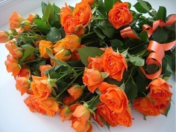 Тамара Алаева