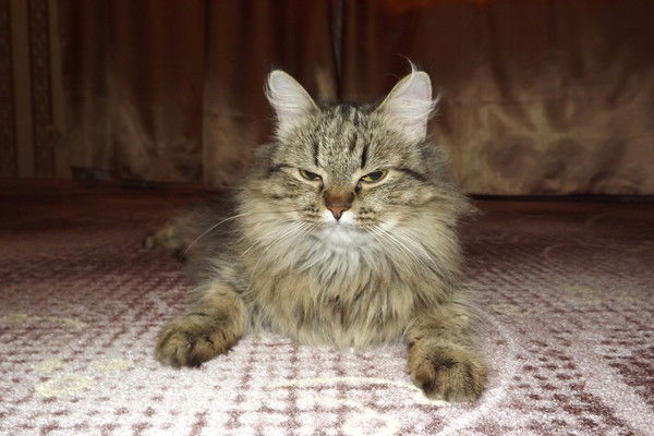 Ольга Назарова