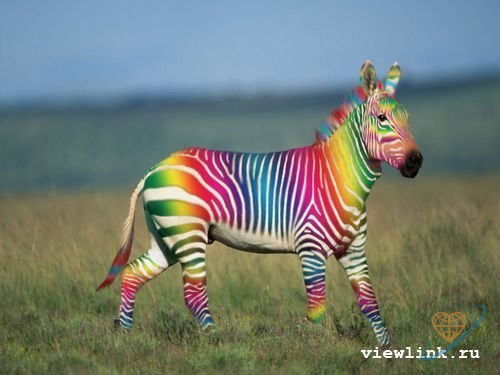 Дмитрий Самборский