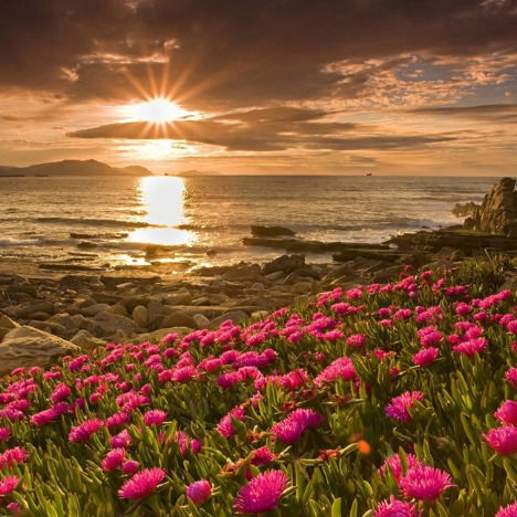 Елена Коскина