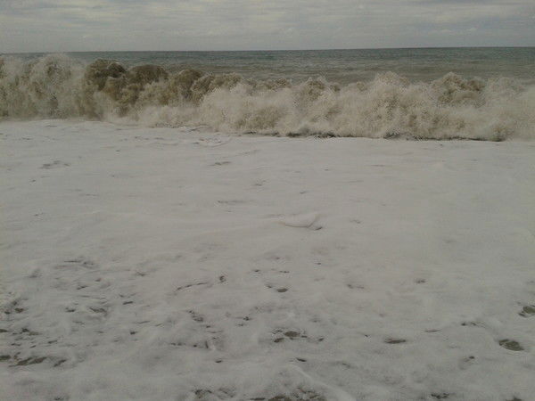 Вадим Кулешов