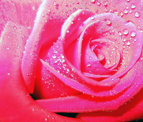 Екатерина Кожевникова