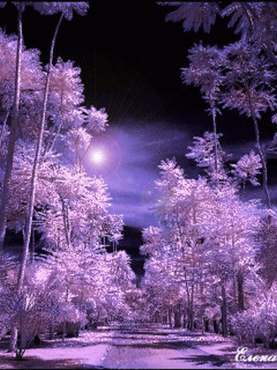 Татьяна Базарова