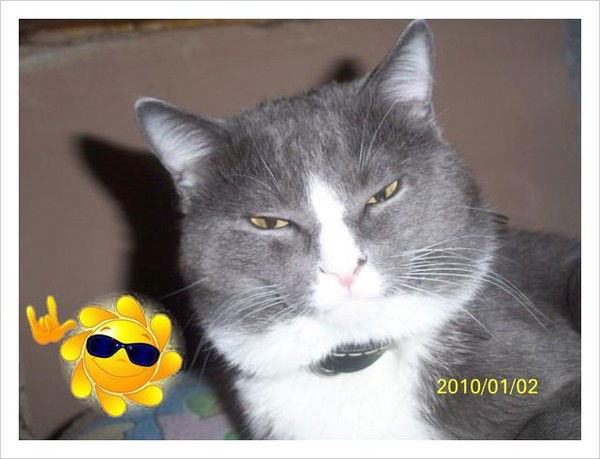 Маринэ Селюнина