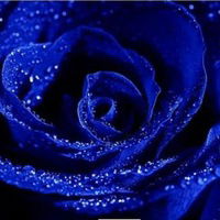 Лолита Немова