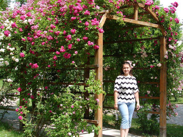 Наталья Поминова