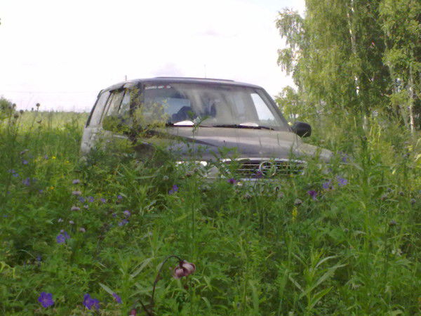 Александр Покатилов