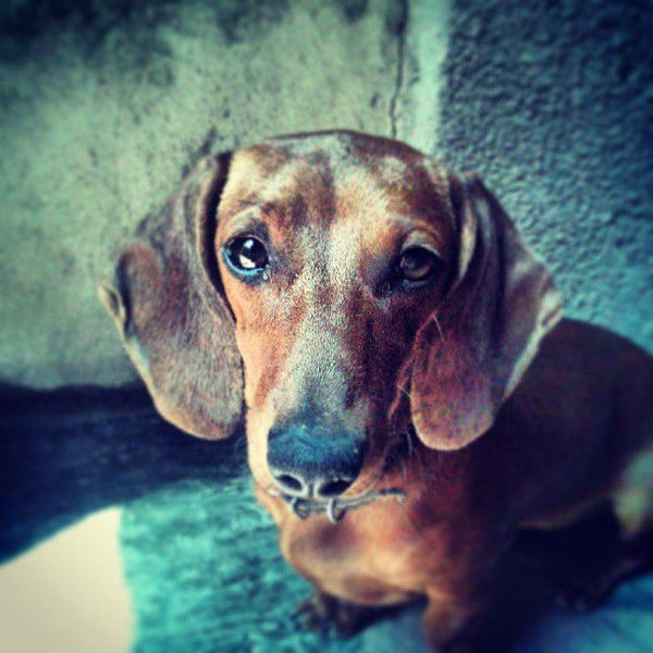 Александр Пак