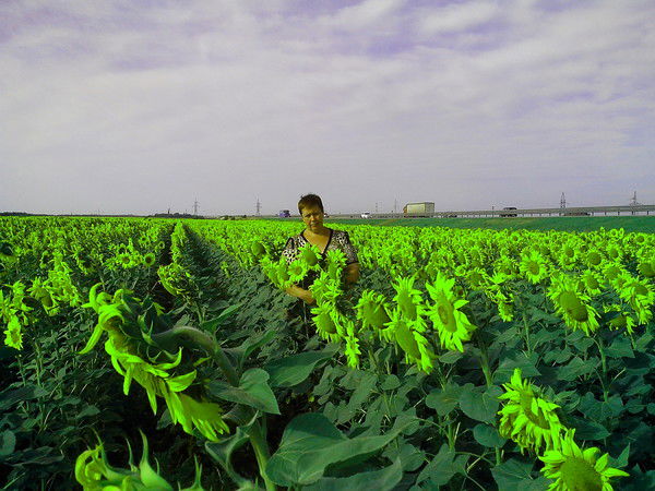 Ириша Ириша