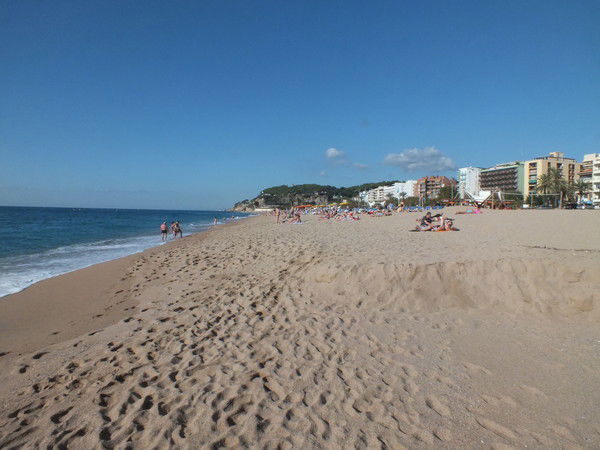 Неизвестно Неизвестно