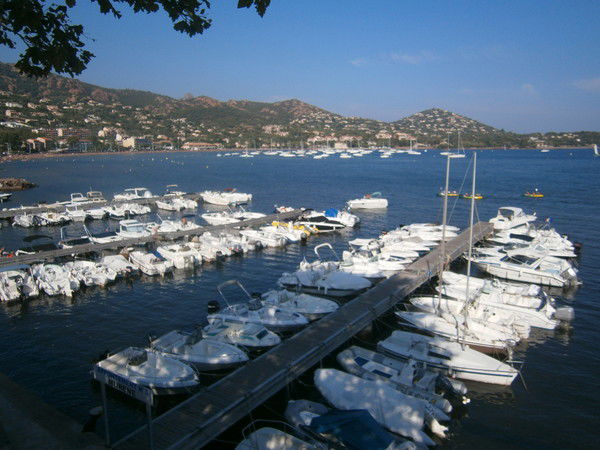 Марина Сардак