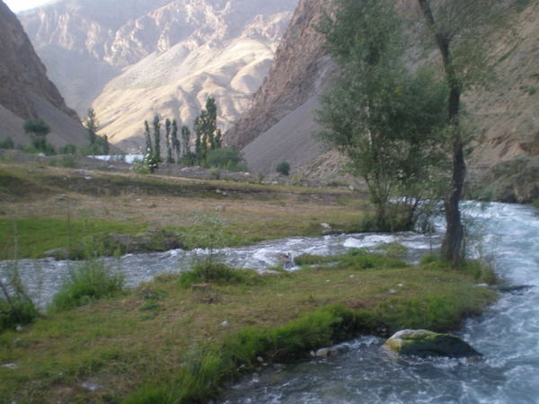 Махфират Абулхаева