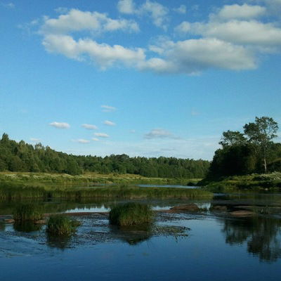 Анна Сахарова