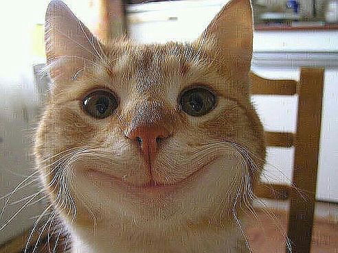 Ирина Терентьева