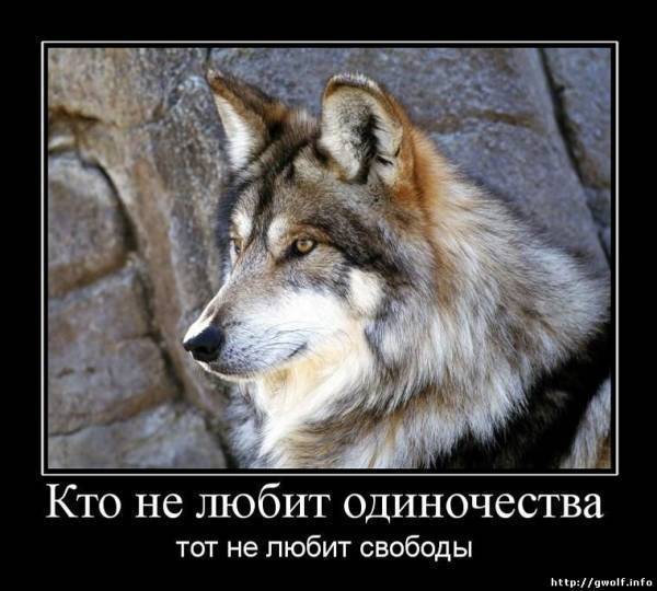 Валерий Михайлов