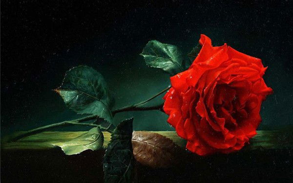 Светланка Стратан