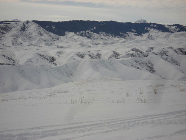 Ерканат Амангелдыулы