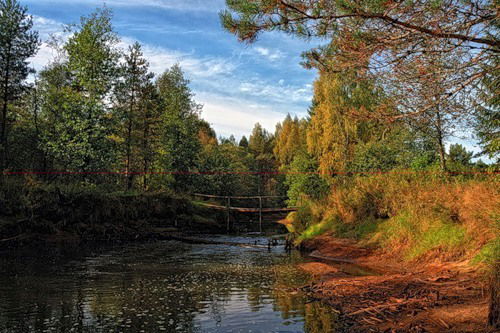 Елена Калашникова