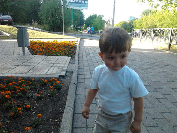 Александр Вавилов